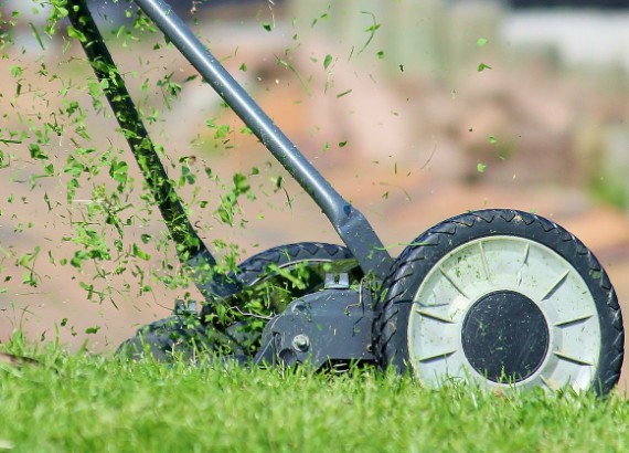 Lawn Mowing & Garden Maintenance, Sydney Lawn Mowing & Garden Maintenance, Sydney