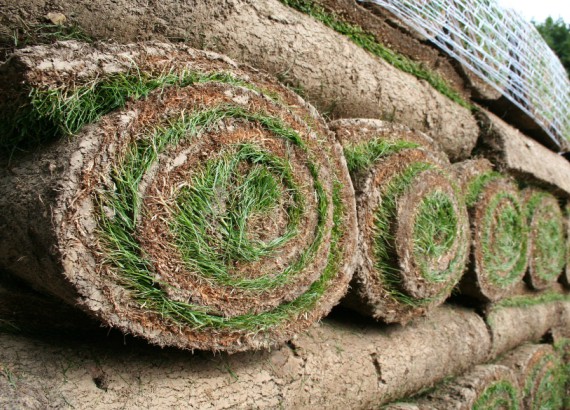 Landscaping Landscaping