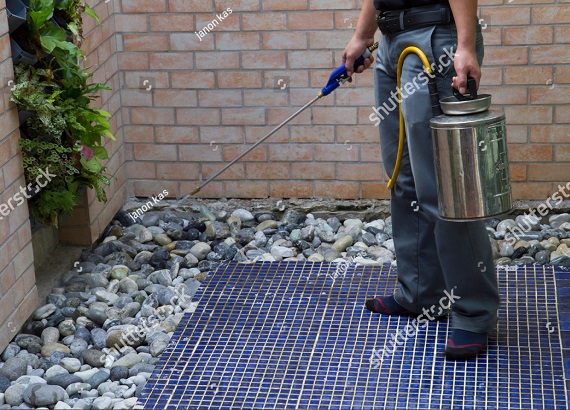 Pest Control Services In Sydney Pest Control Services In Sydney